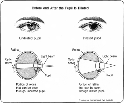 What does it mean when someone looks at you with dilated pupils?